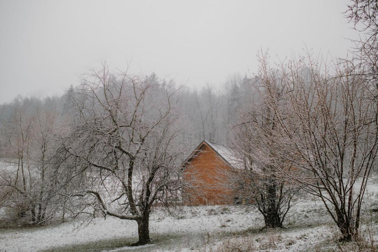 Osada Krasne - Noclegi Blisko Natury Bukowiec  Exterior foto